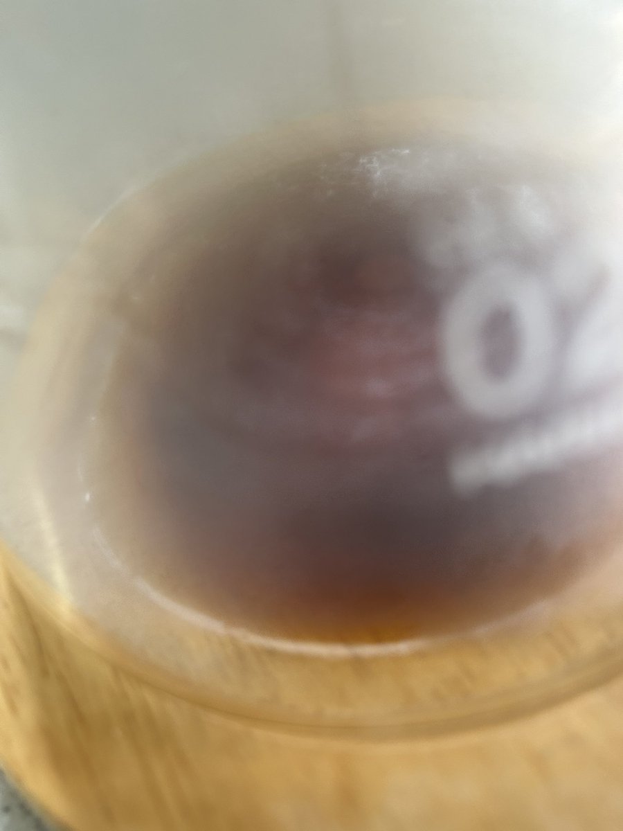 シャイン✨☕️🍸🚲 tweet media