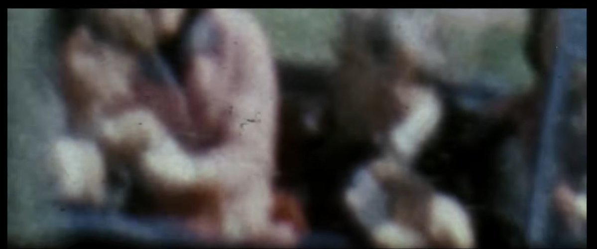 Nikki Rosier tweet media