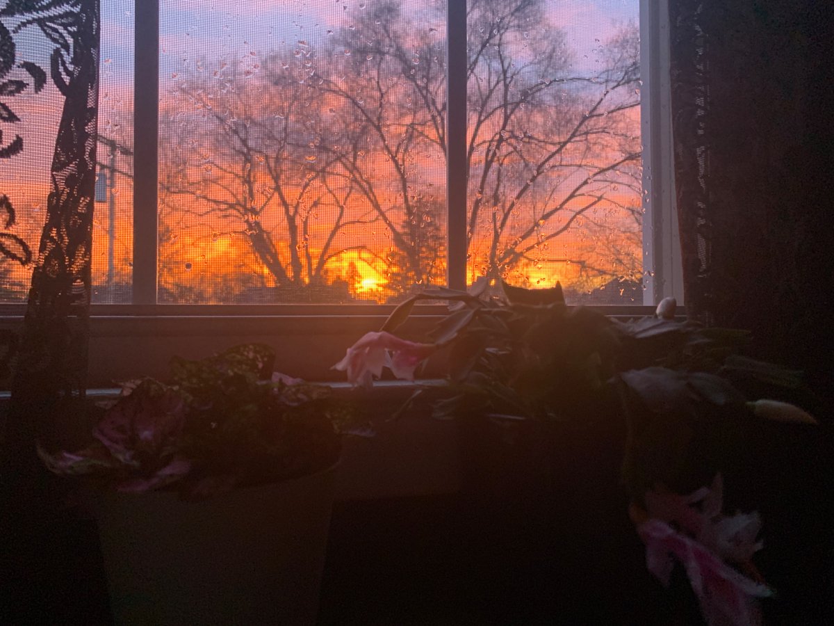Sunset after a storm