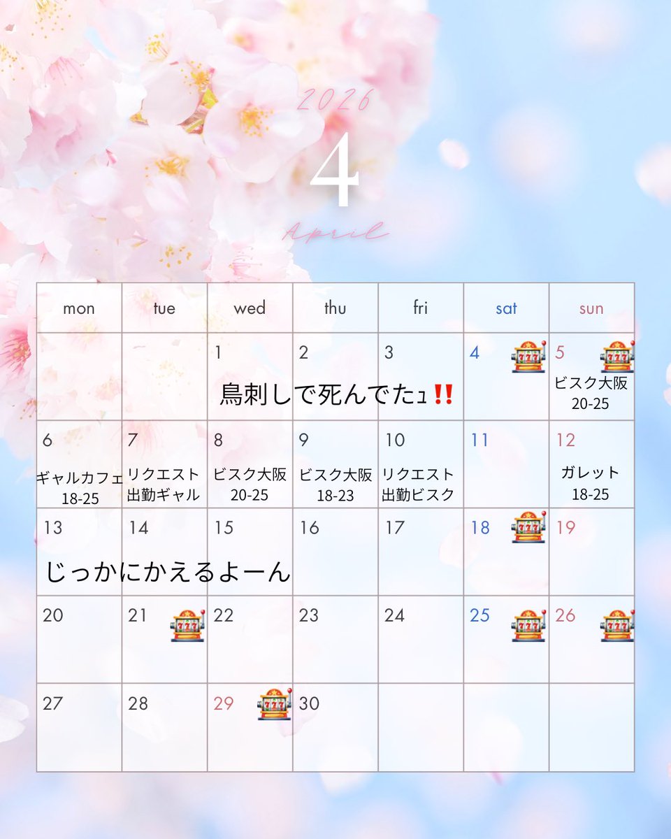 ﾈｺﾉﾒ🐈🥂 tweet media