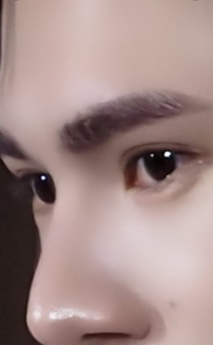 DANI 🐶😻🇺🇾 tweet media