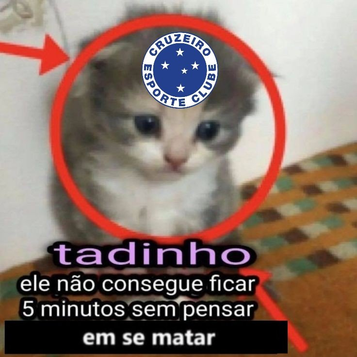 DiscordZeiro tweet media