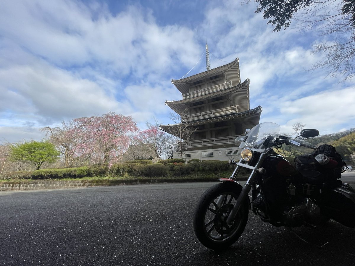 sec-leafs tweet media