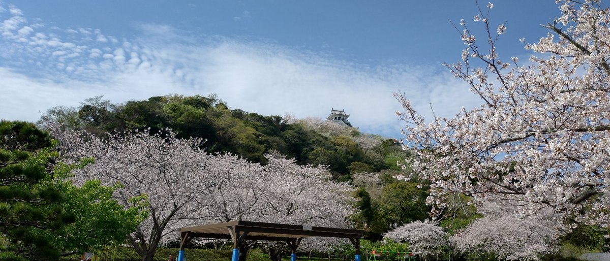 ごまひと tweet media