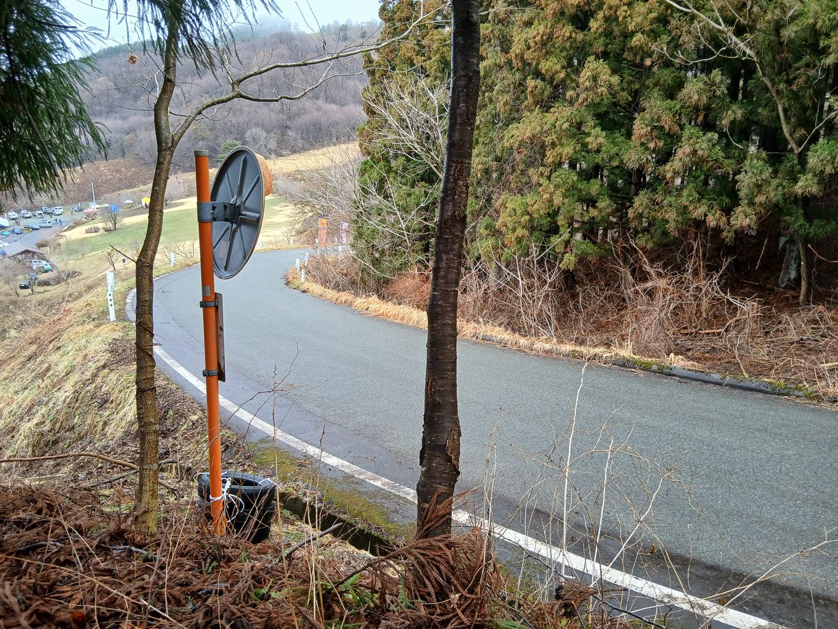 おさる tweet media