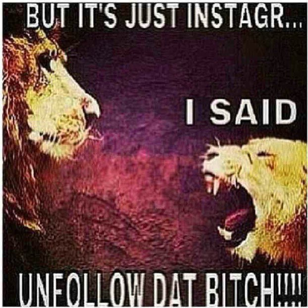 bloutgoggles tweet media