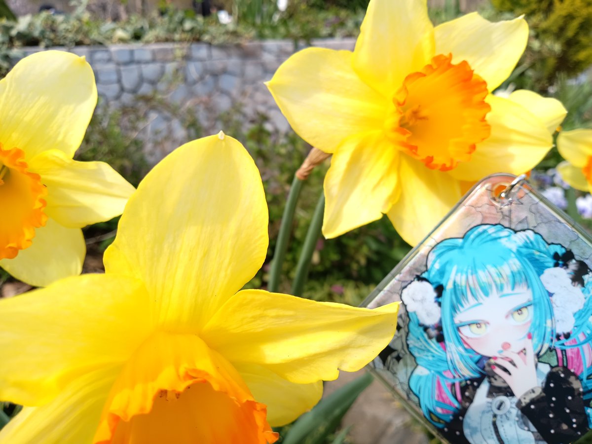 羅瑚るふぇに🩵🩷悪役令嬢なVtuber tweet media