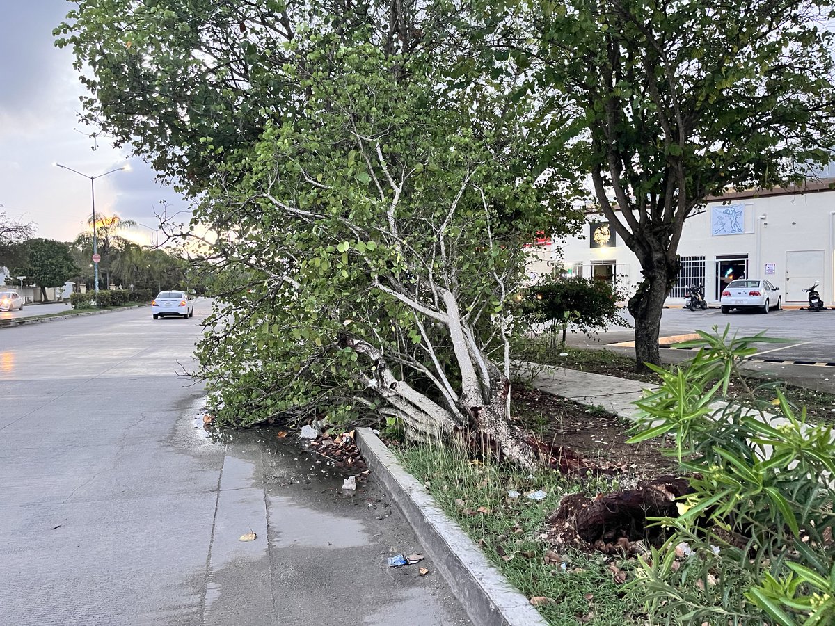 Vigia Ciudadano tweet media