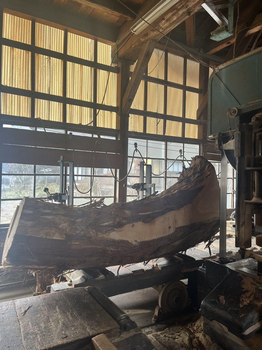 さわたく工房🌳 tweet media