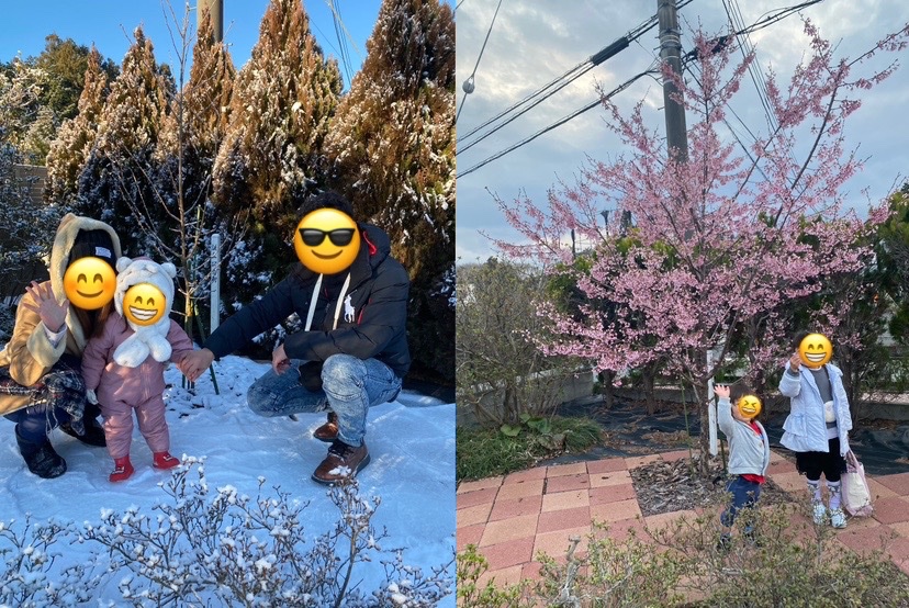 eggmoai_08's tweet photo. 長女が2歳の頃、展脚に励む私を見て「●●ちゃんも虫さんやりたい！」と泣いて懇願してきたことがあった。針は危険なので、当時の私は爪楊枝でやらせてみることに（笑）

子どもの成長は早いから焦るけど、標本は一度作れば半永久的に維持可能。お父さんはね、たまにそれを見て感涙してしまうのだよ😭 https://t.co/sxgrPO0WHM