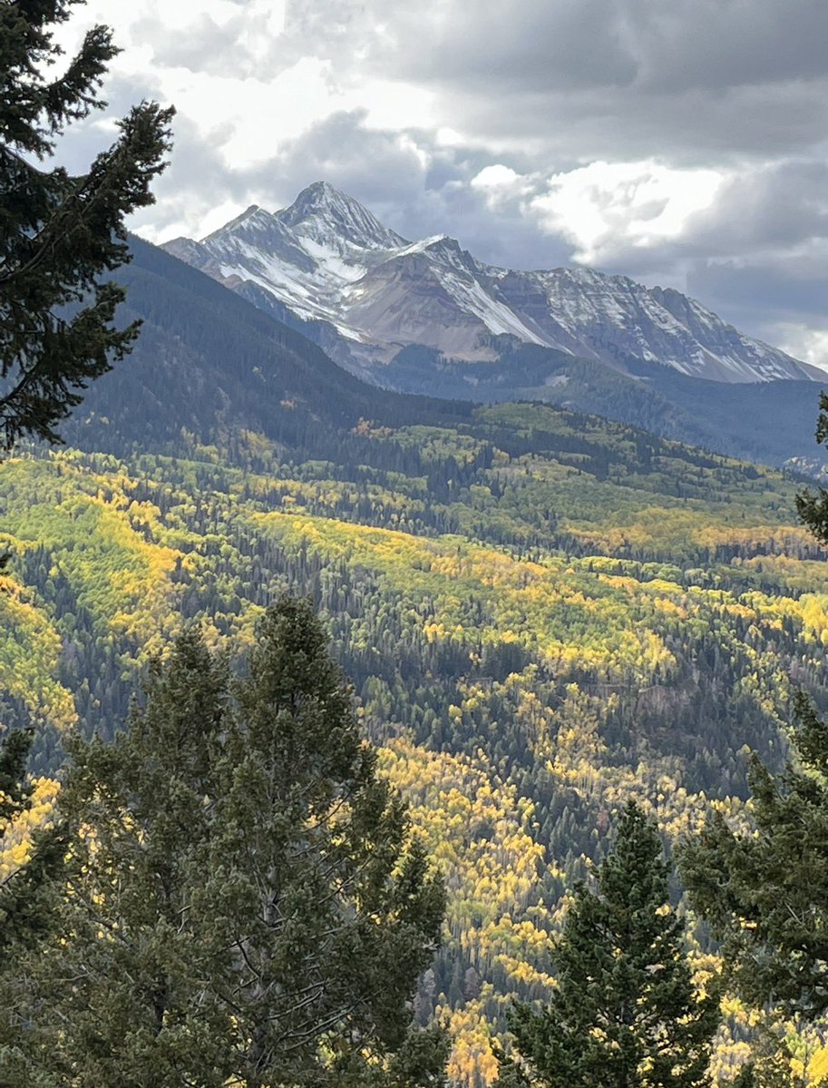 JoliePurr tweet media