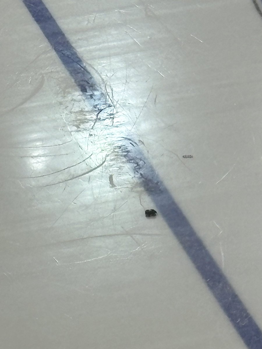 Noah Strang tweet media