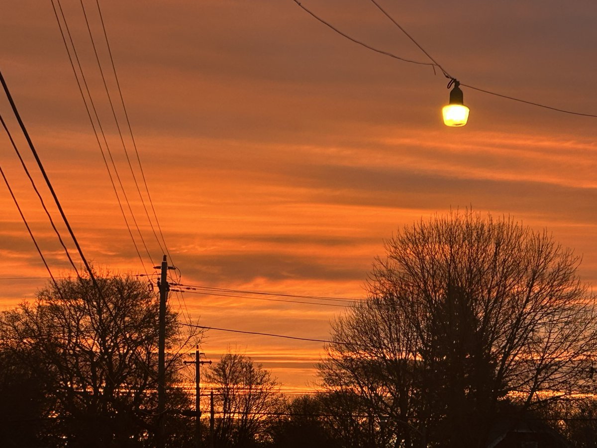 Charlie L 🎼 tweet media