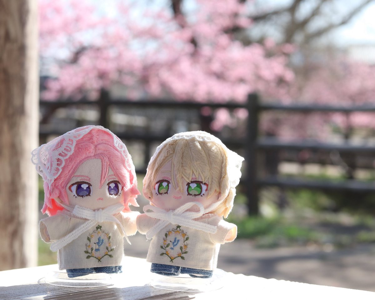 むらさき tweet media