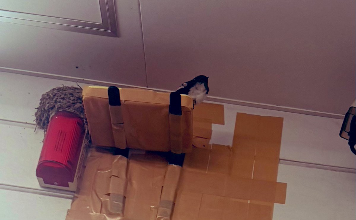 サウナに住みたい女子@ゆん tweet media