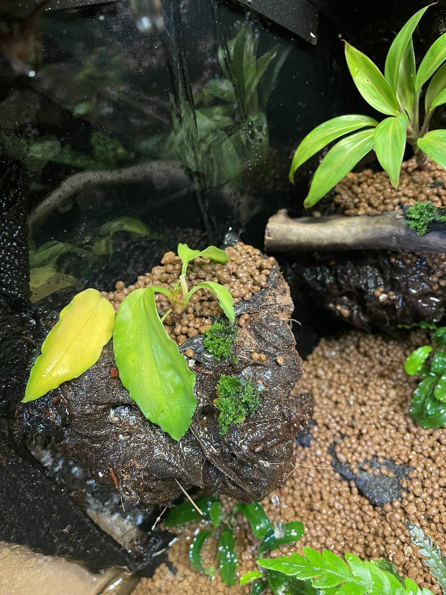 師岡雅史 tweet media