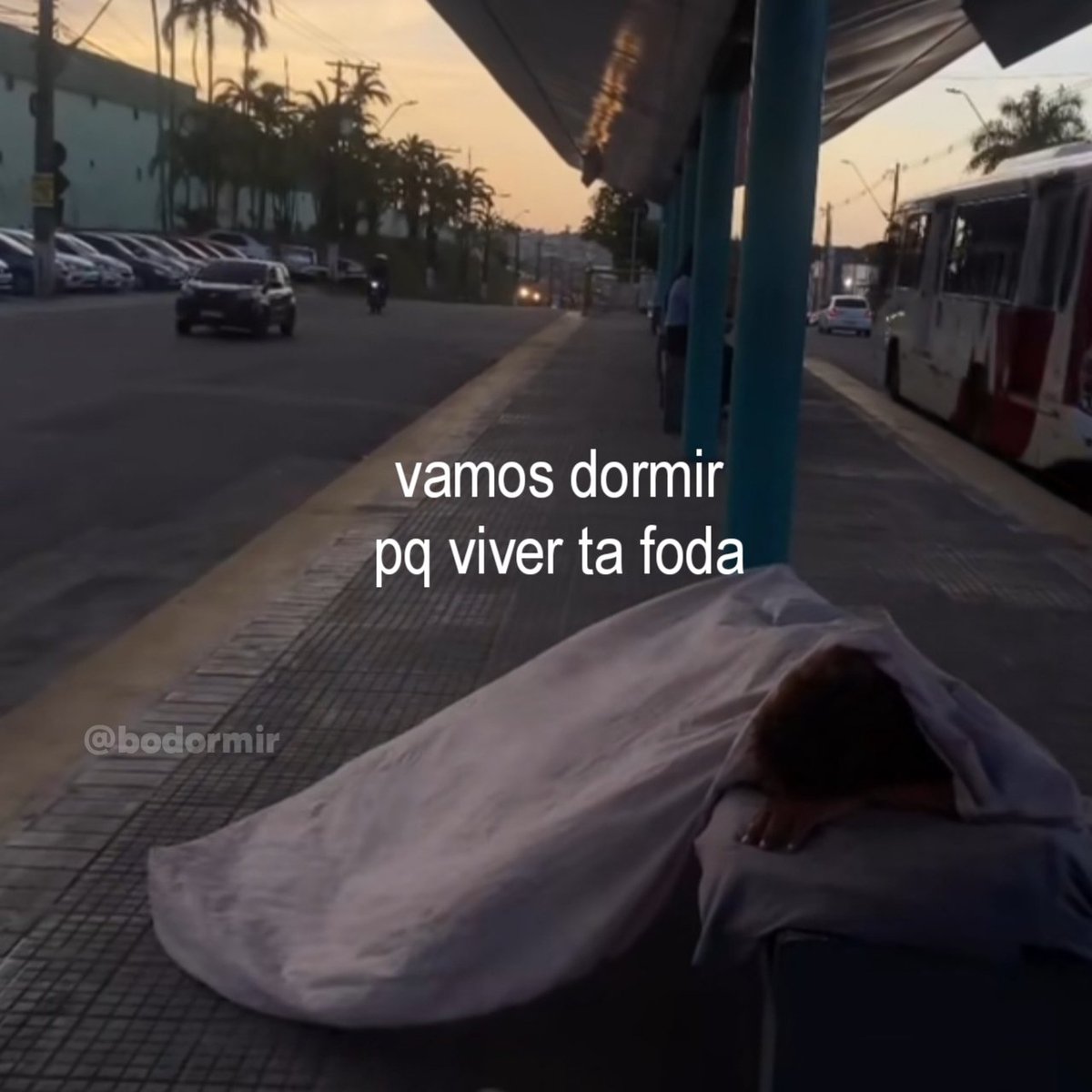 as vezes, dois kikães is janta💤 tweet media