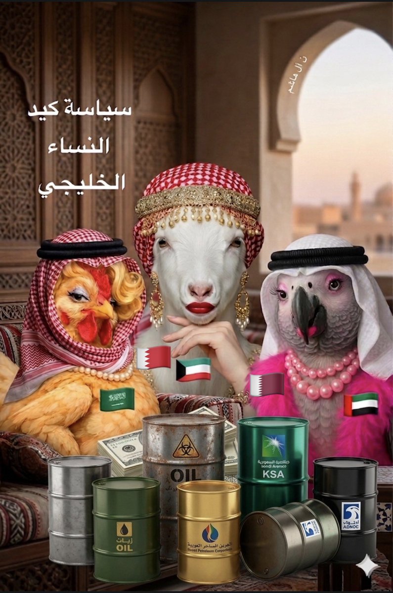 ن آل هاشم tweet media