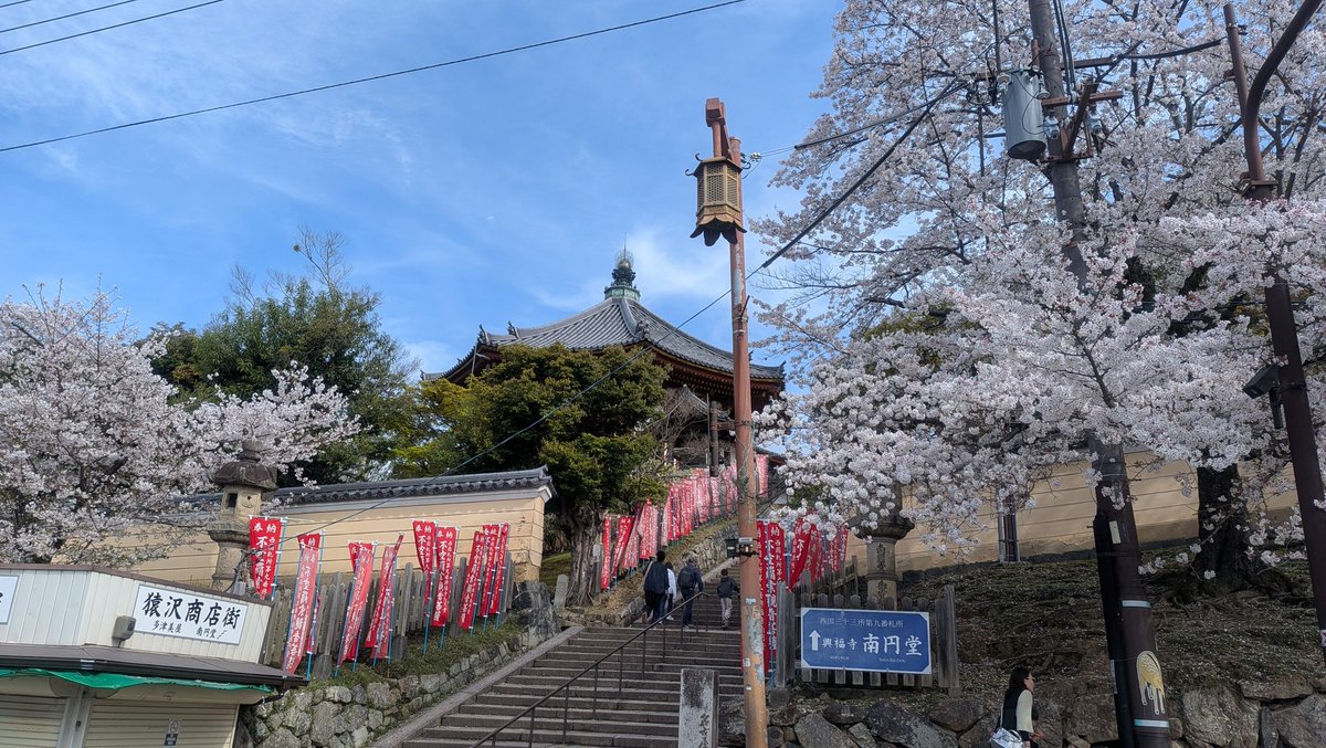 タコ娘🐙 tweet media