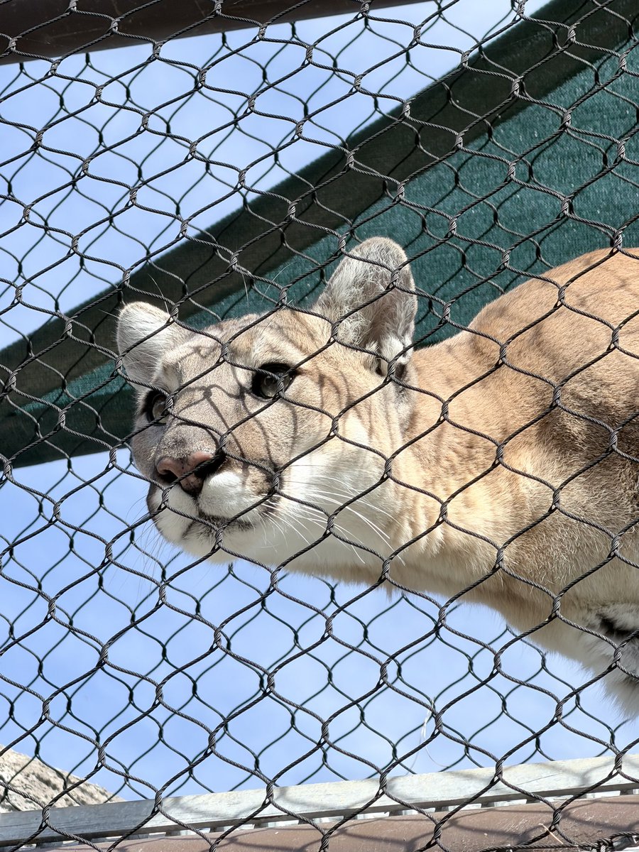 thatstarwarsgirl tweet media