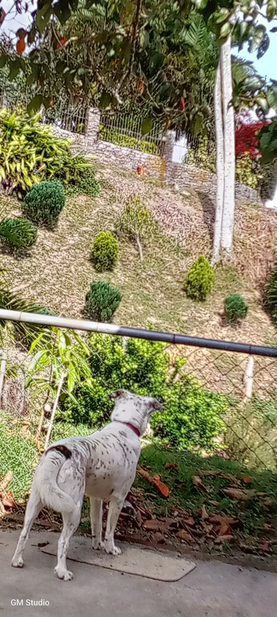 FoxOld20😎🇱🇹 tweet media