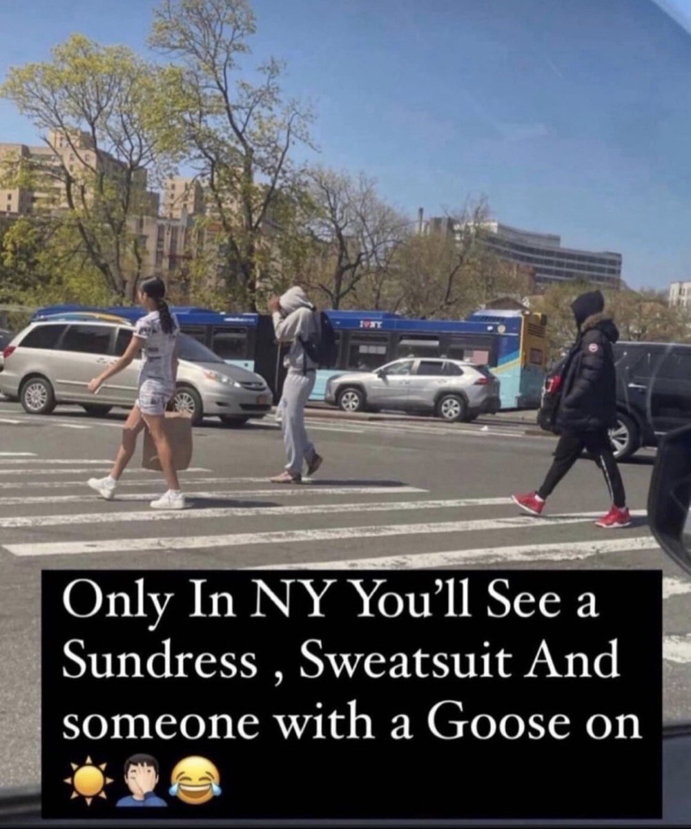 bloutgoggles tweet media