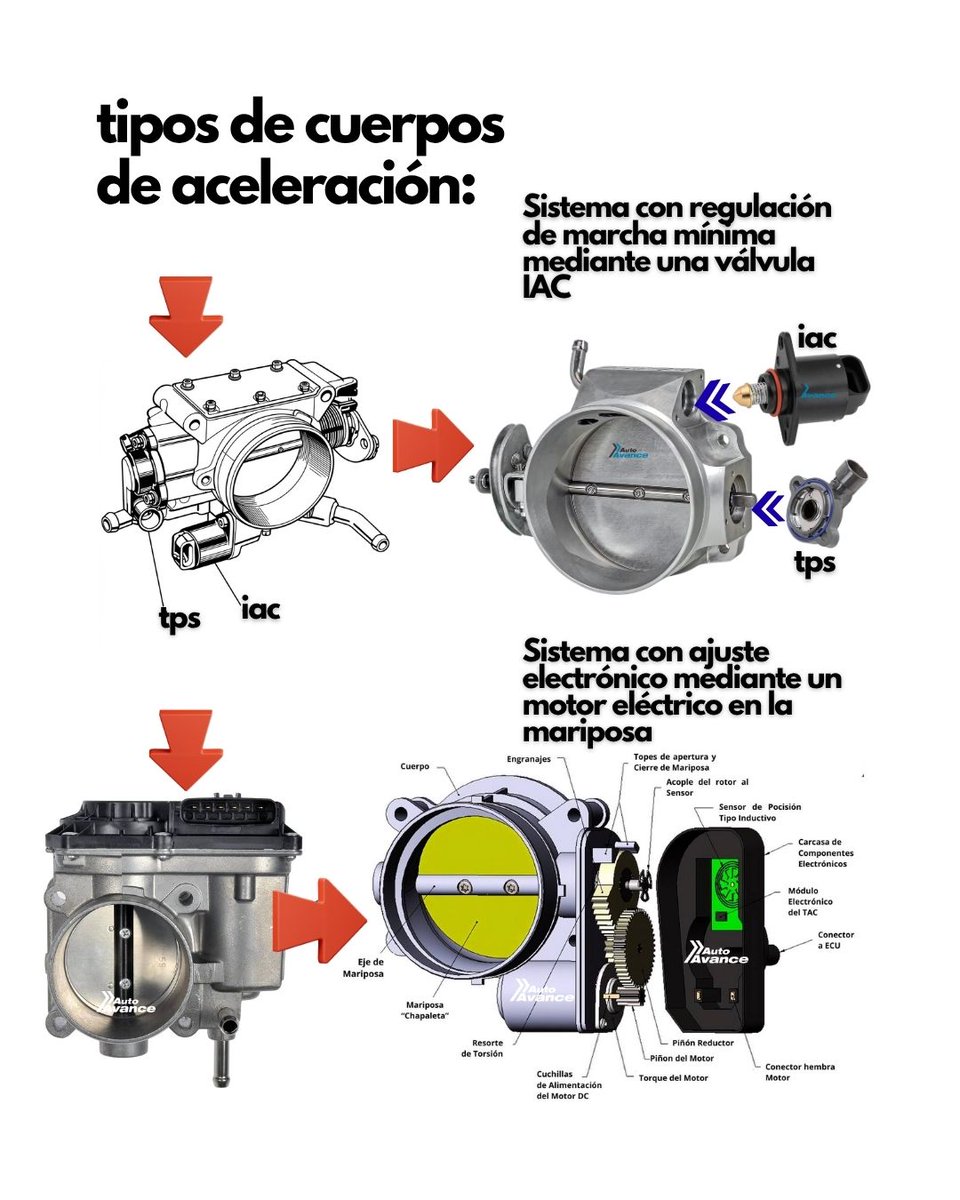 Auto Avance tweet media
