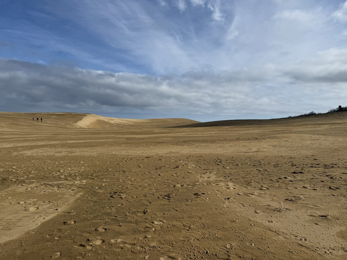 にやんこ tweet media