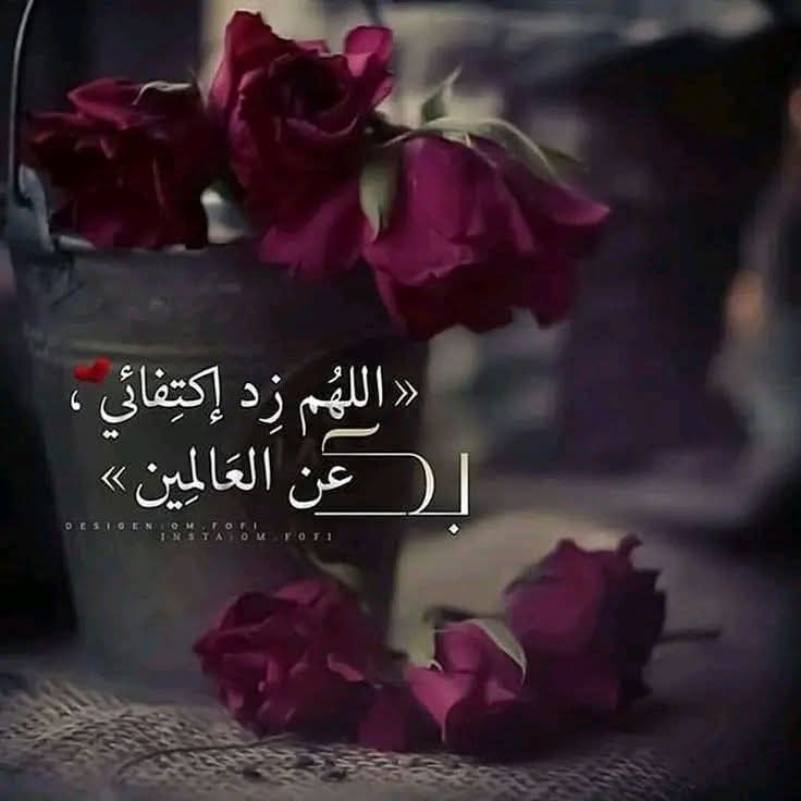 ShoSho ☕🍓💫 tweet media