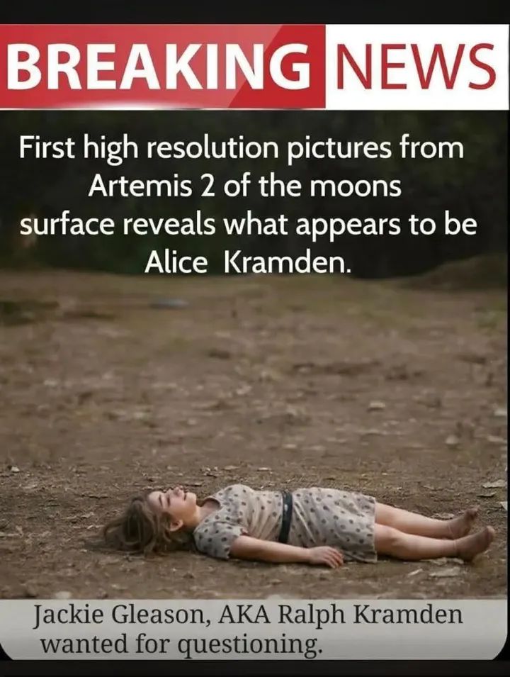 The Anarchist Chef 🧑‍🍳🏴 tweet media