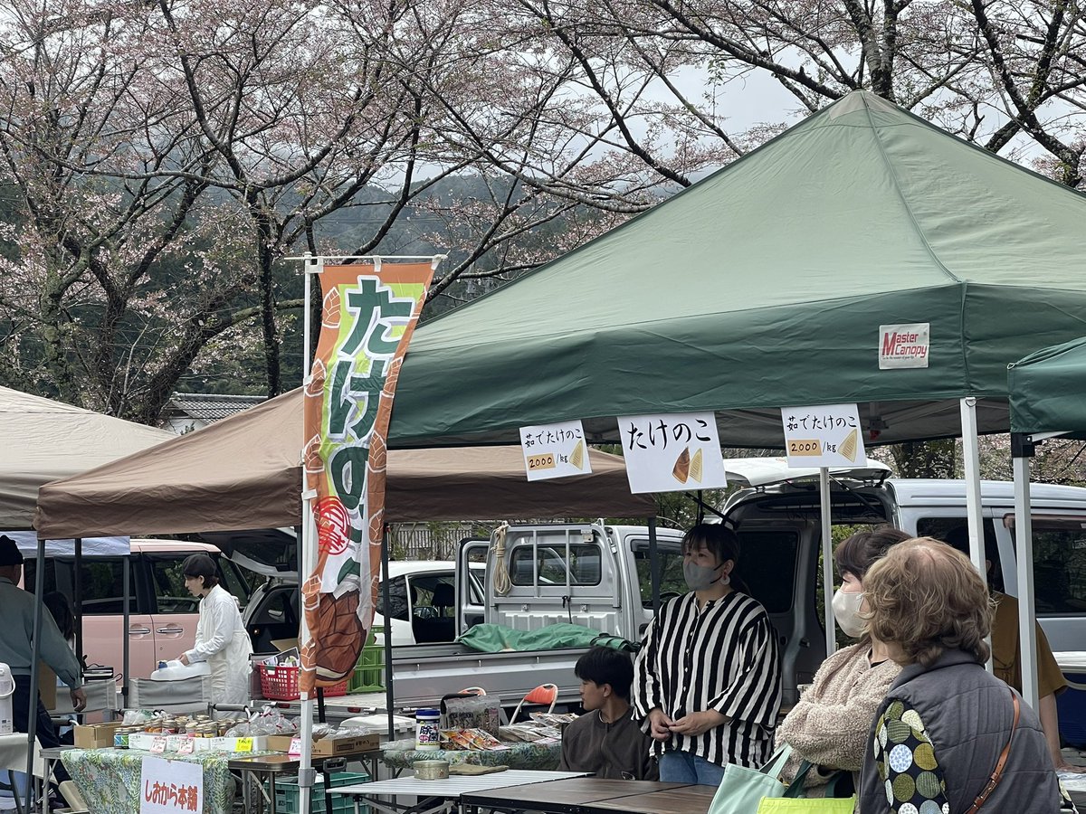 BUZZmerumo's tweet photo. 内房たけのこ 桜祭り、始まりましたー！！！
稲佐会場のステージで歌うよ〜🎶
(*´○`)o¶~~♪

ロータス&ゲリラムーン出演時間は
11:20〜11:50  でーす！！
⁡
今回のステージは ALLカバー曲でやります(๑•̀ㅂ•́)و✧
⁡
遊びにきてね👍

今年の たけのこは 豊作みたいです。
内房の たけのこ、とても美味しいから ゲットしにきてね👍
⁡
#ロータスゲリラムーン
#内房たけのこ桜祭り