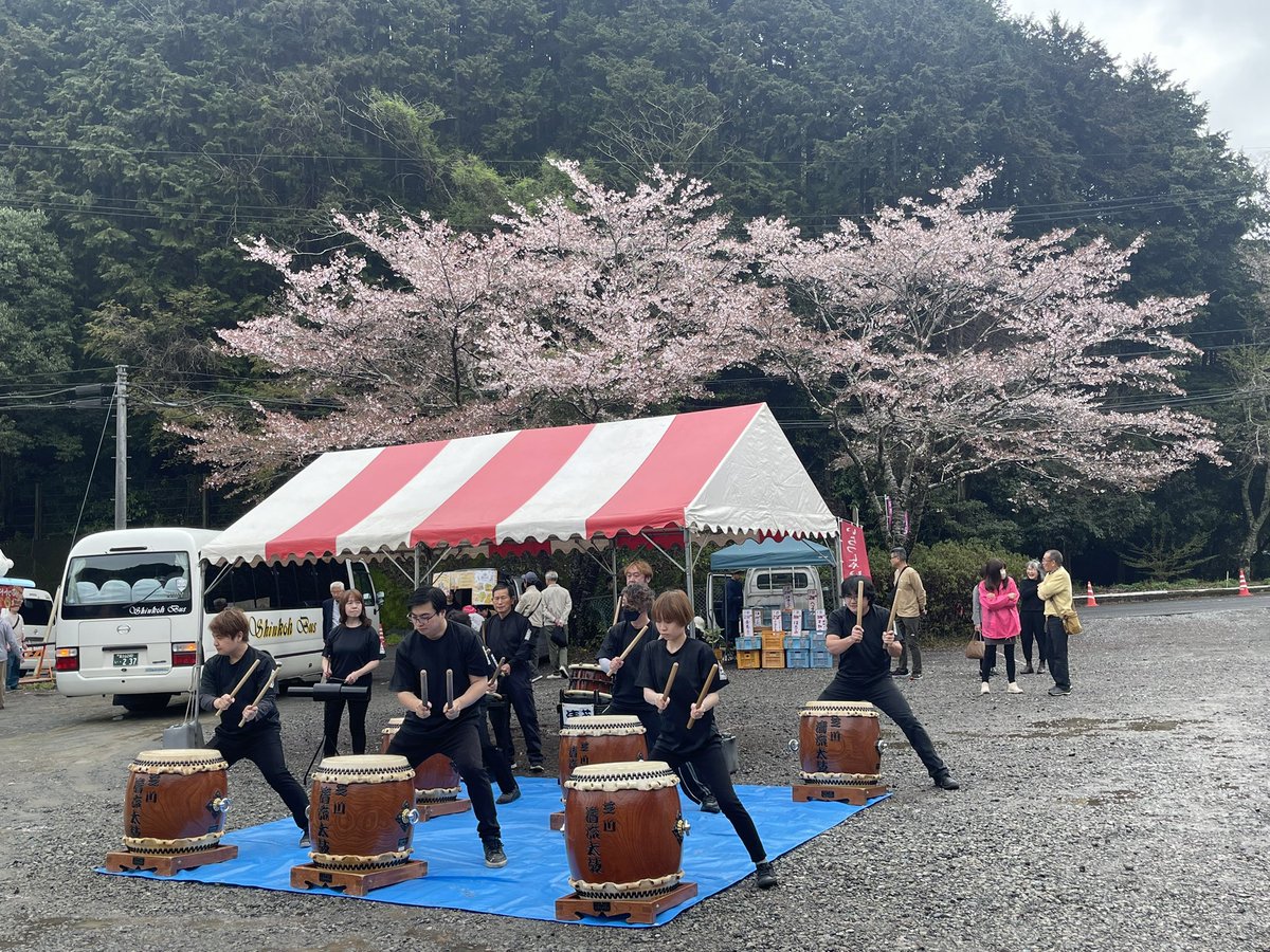 BUZZmerumo's tweet photo. 内房たけのこ 桜祭り、始まりましたー！！！
稲佐会場のステージで歌うよ〜🎶
(*´○`)o¶~~♪

ロータス&ゲリラムーン出演時間は
11:20〜11:50  でーす！！
⁡
今回のステージは ALLカバー曲でやります(๑•̀ㅂ•́)و✧
⁡
遊びにきてね👍

今年の たけのこは 豊作みたいです。
内房の たけのこ、とても美味しいから ゲットしにきてね👍
⁡
#ロータスゲリラムーン
#内房たけのこ桜祭り