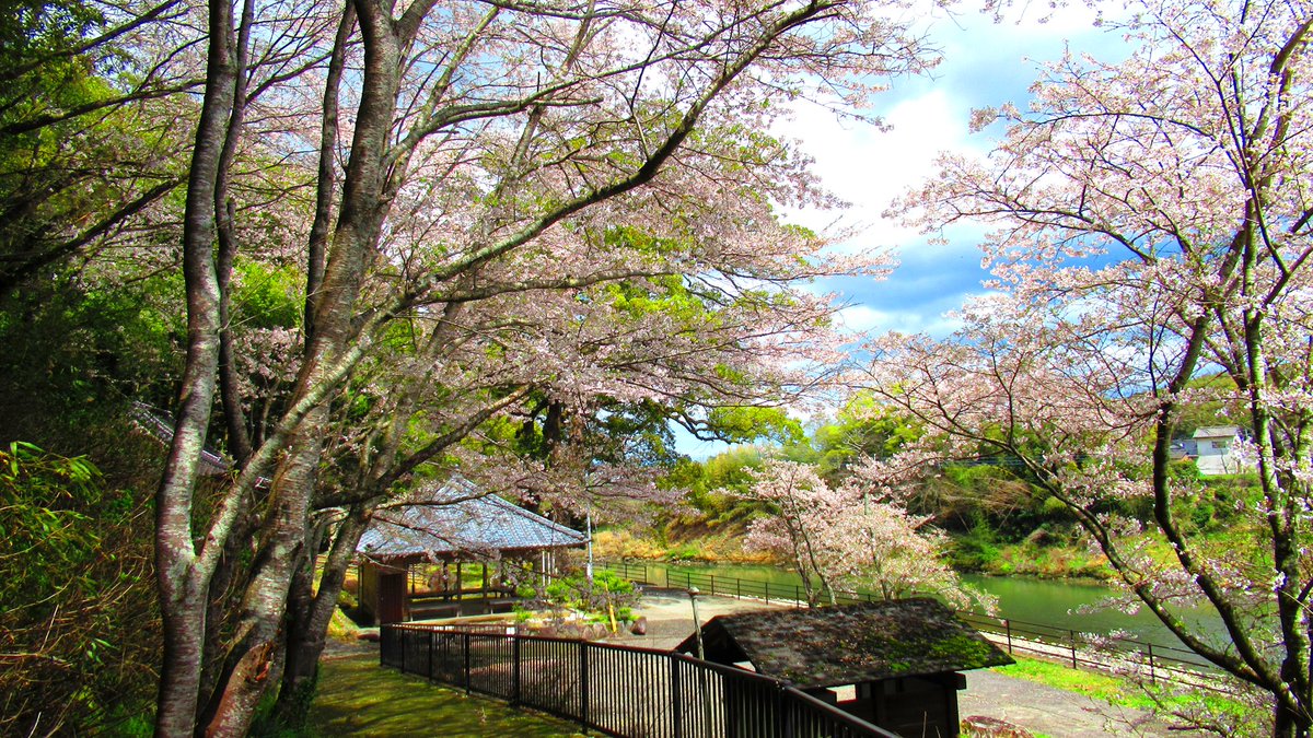 DorcusUSA's tweet photo. 🌸国宝 宇佐神宮に匹敵する歴史❗

⛩️宇佐神宮 初代別当：法蓮和尚🌟

⭕️ 神 と 佛
　　天之御中主大神 と 念波観音力

　・香下神社
　・鷹栖観音

🎯 観る力❗️
　・視覚
　・聴覚
　・嗅覚
　・味覚
　・触覚
　・妙覚( 第六感 )

撮影場所：大分県 宇佐市 山本
撮影日時：2026年 04月 04日 https://t.co/7bGhsw9oTg