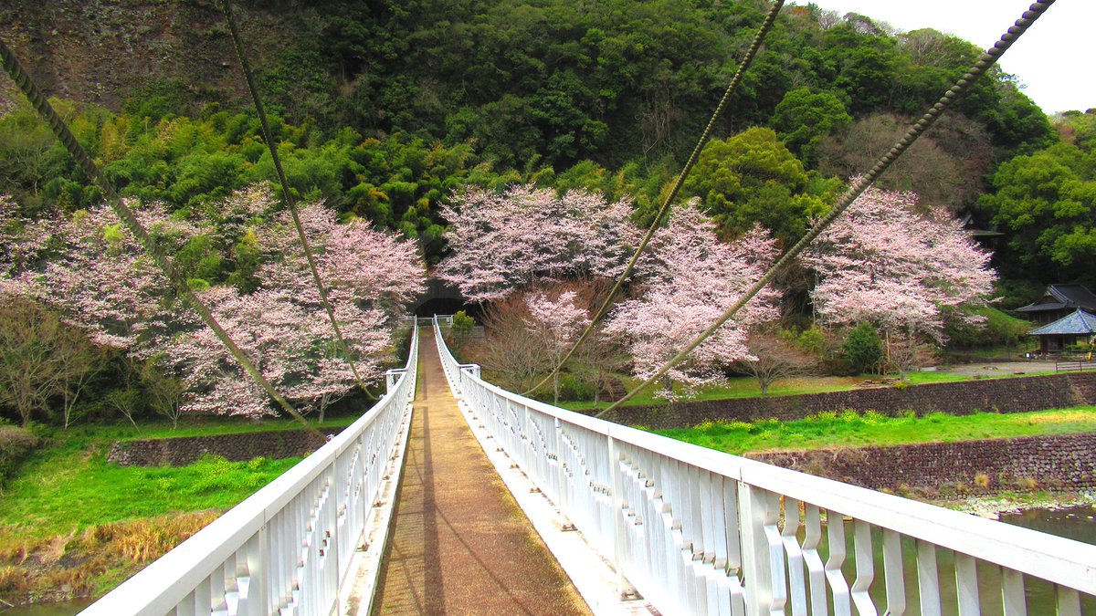 DorcusUSA's tweet photo. 🌸国宝 宇佐神宮に匹敵する歴史❗

⛩️宇佐神宮 初代別当：法蓮和尚🌟

⭕️ 神 と 佛
　　天之御中主大神 と 念波観音力

　・香下神社
　・鷹栖観音

🎯 観る力❗️
　・視覚
　・聴覚
　・嗅覚
　・味覚
　・触覚
　・妙覚( 第六感 )

撮影場所：大分県 宇佐市 山本
撮影日時：2026年 04月 04日 https://t.co/7bGhsw9oTg