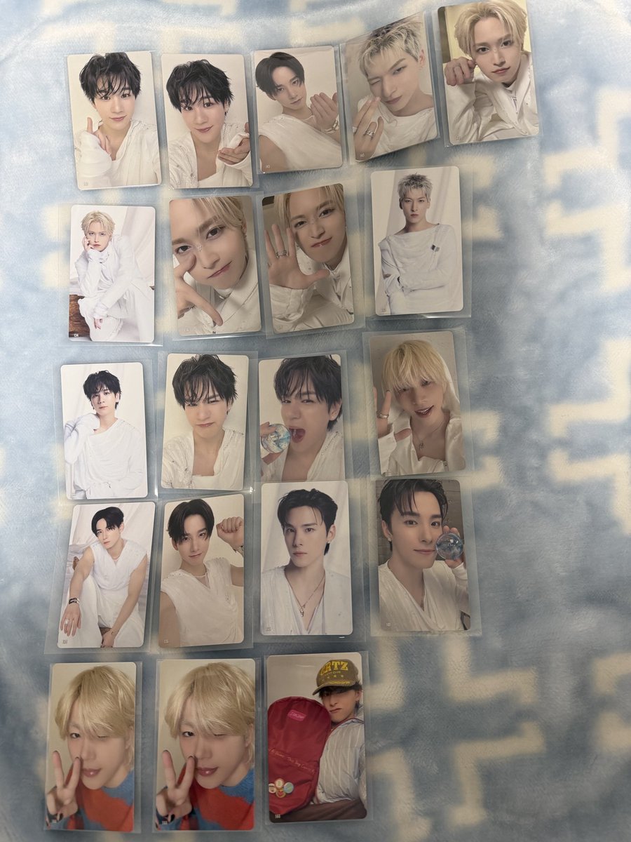 虎猫のゆこるは大和のおとも🌺 tweet media