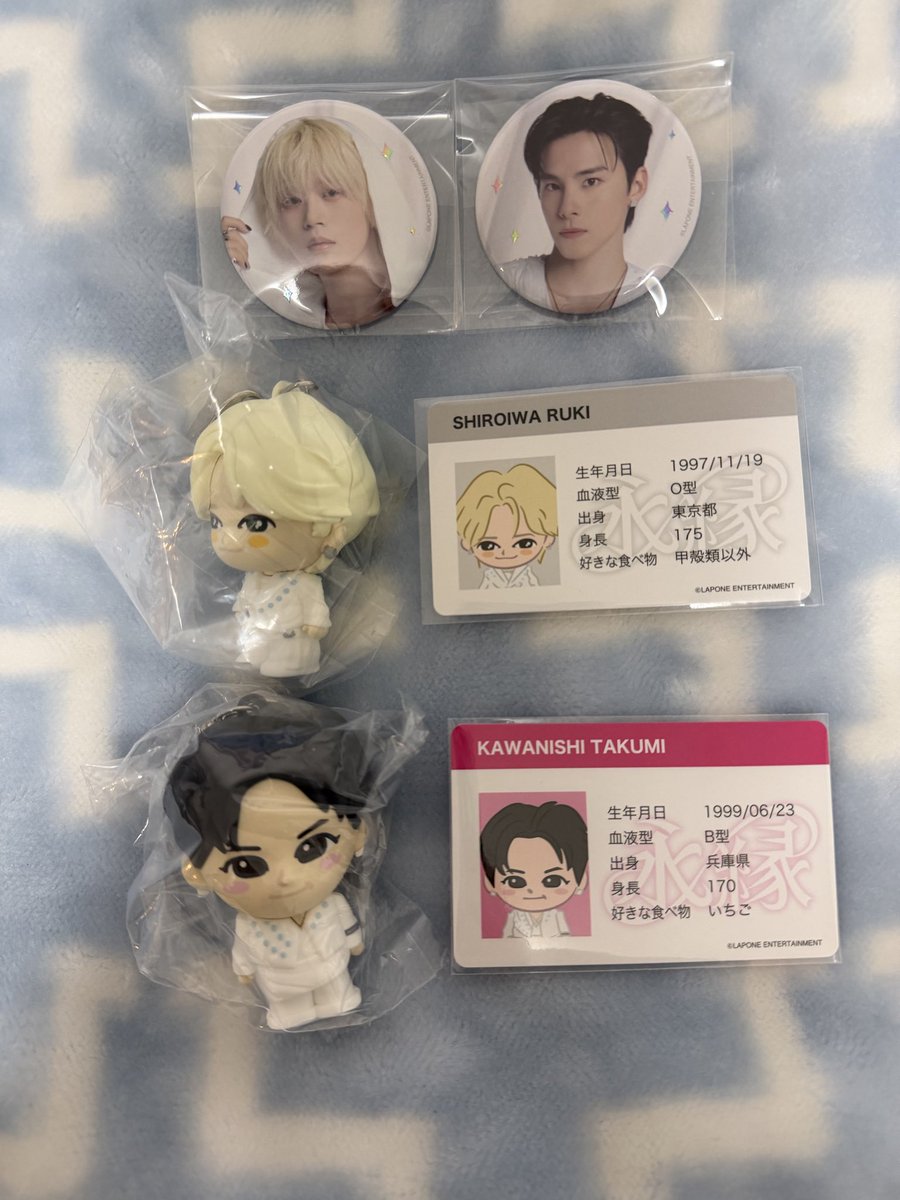 虎猫のゆこるは大和のおとも🌺 tweet media