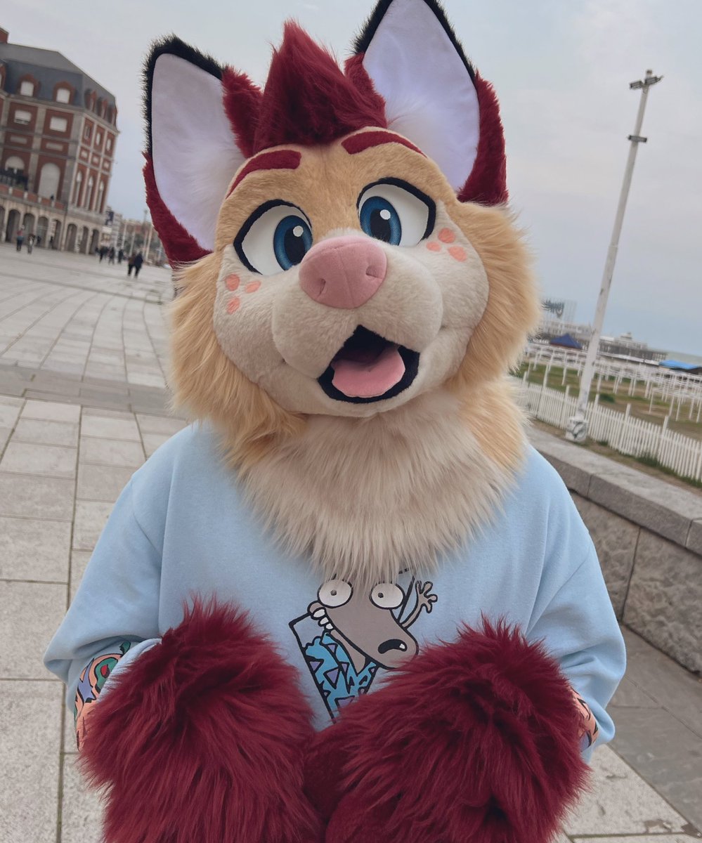 Zyly the Fox! 🧡💛 tweet media