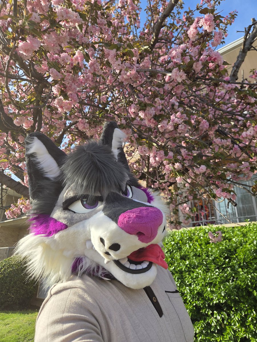 daz_vega_'s tweet photo. Let yourself bloom like the flower you are 🌸🌸
🧵 @TwistedLeopard https://t.co/QXY0QoS8ZH