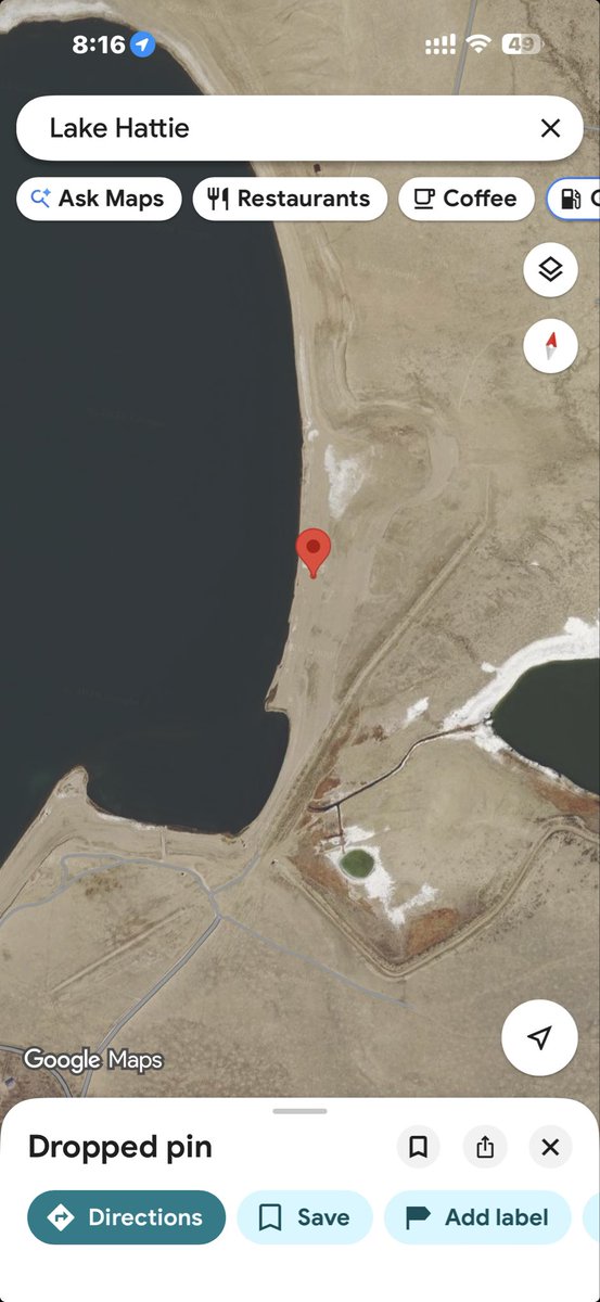 Shea Foster tweet media