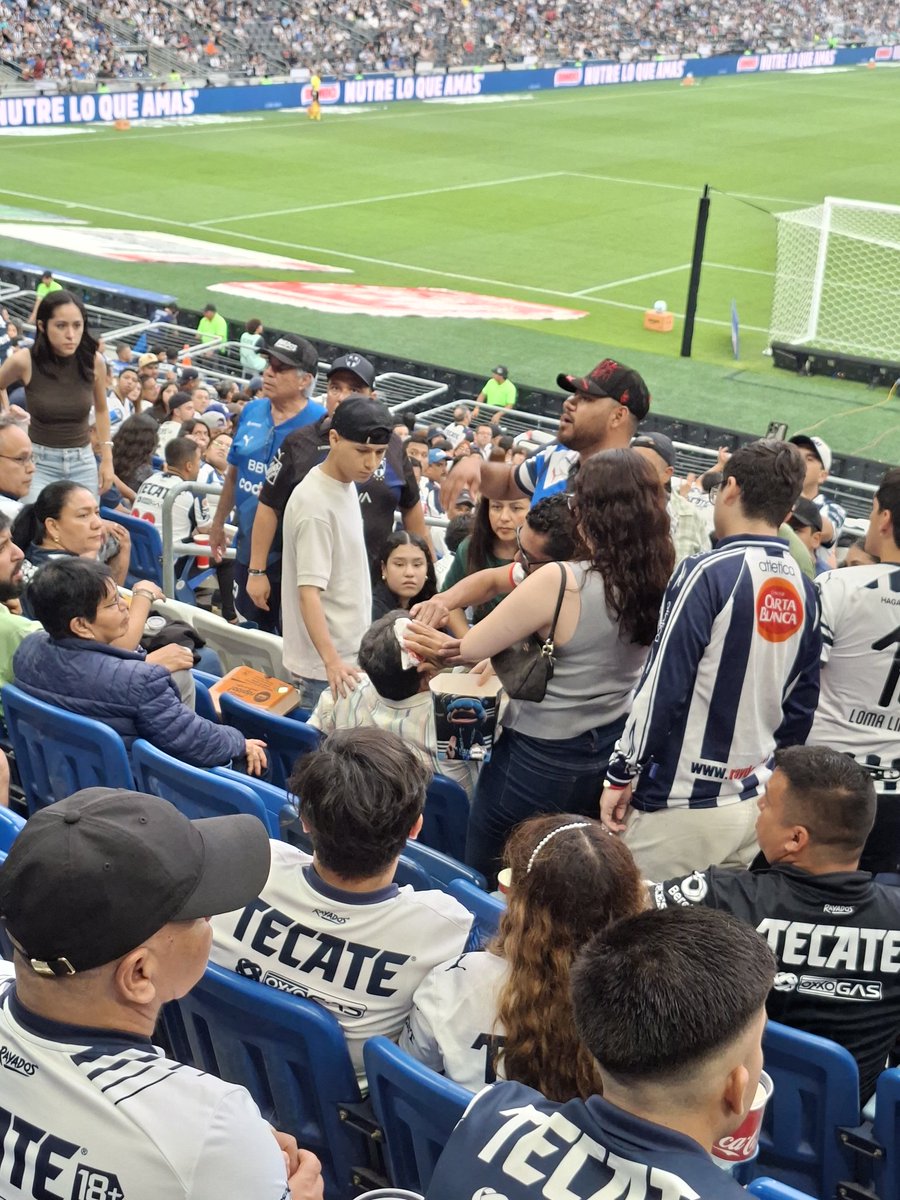 luigigol tweet media