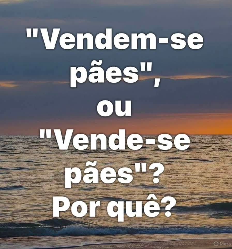 Professora Tati tweet media