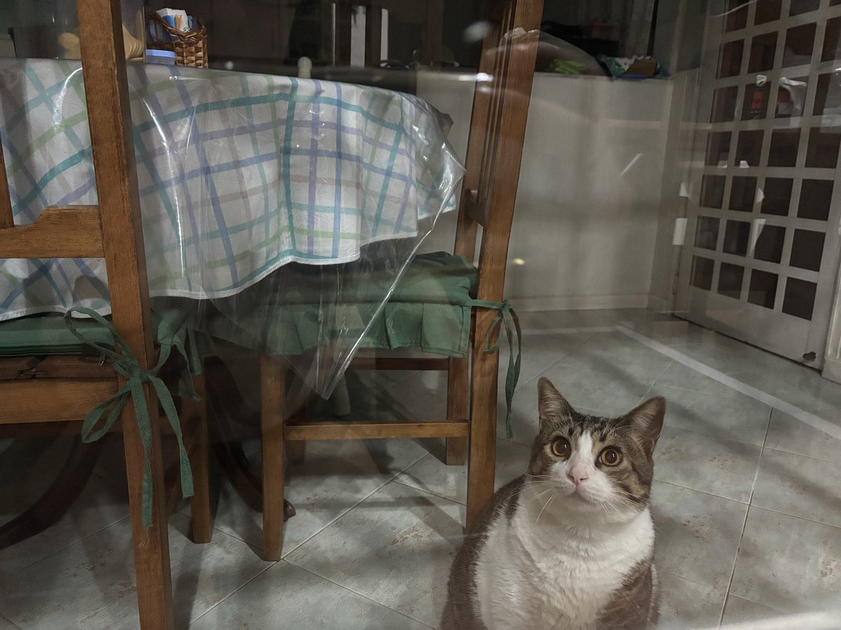 lia ⚖️ tweet media