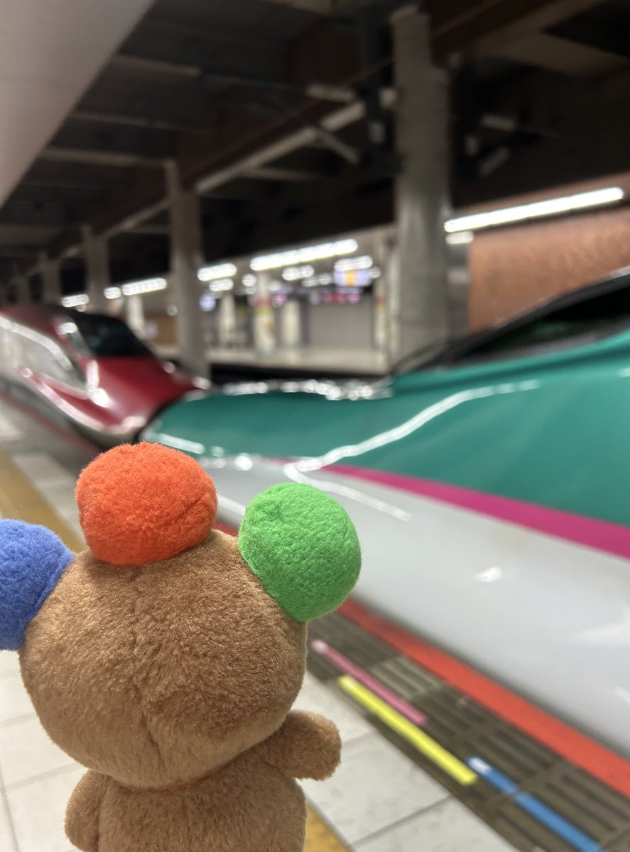 さかな tweet media