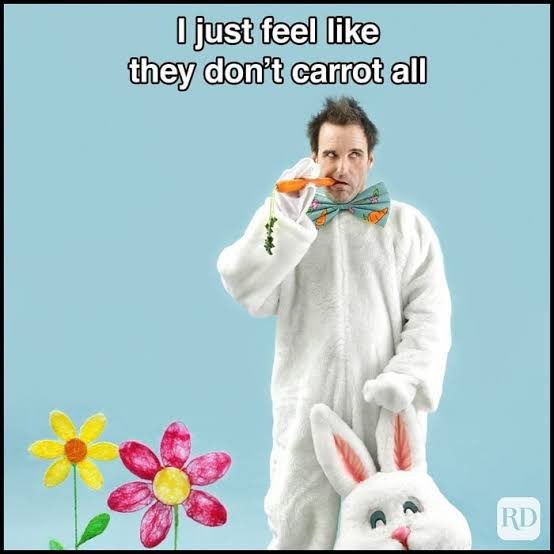 kittyhawk2 tweet media