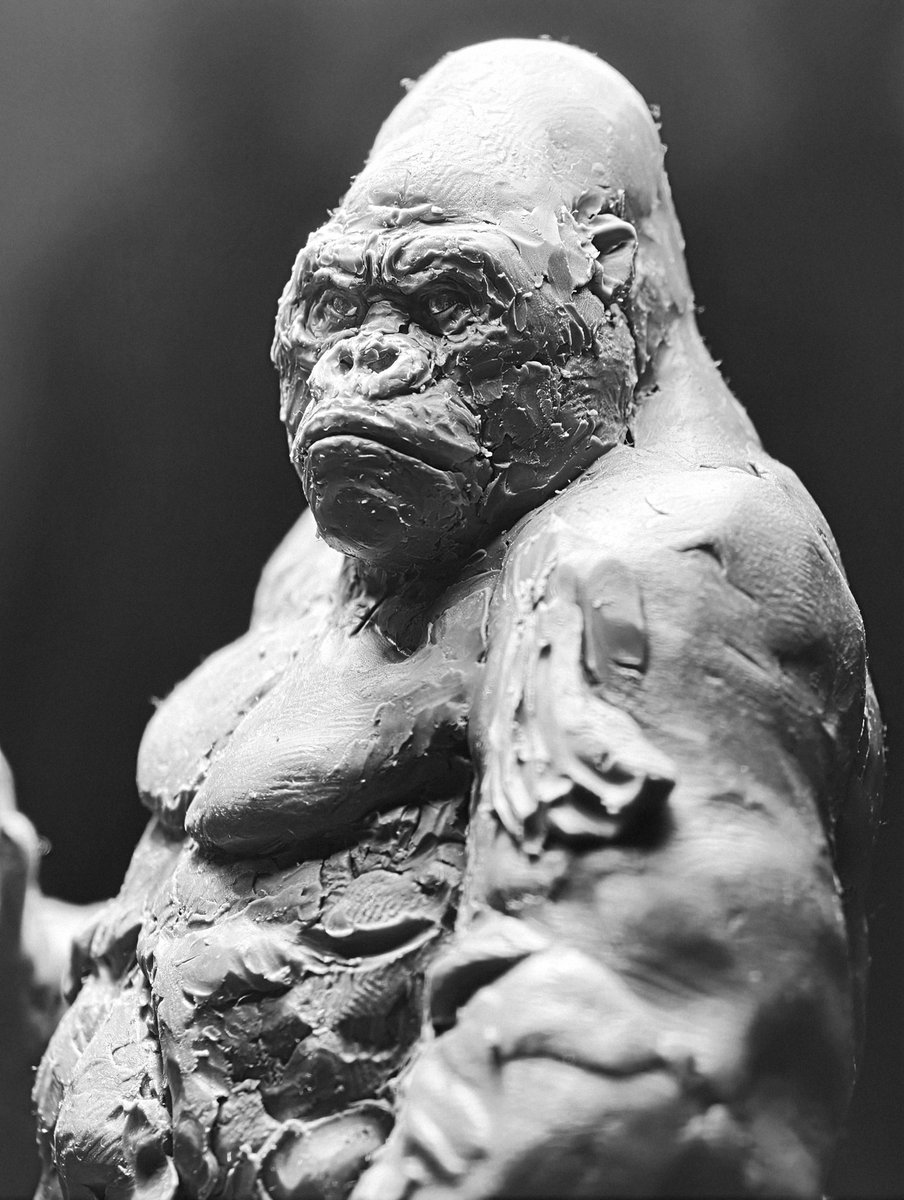 TZU CHI LEE tweet media