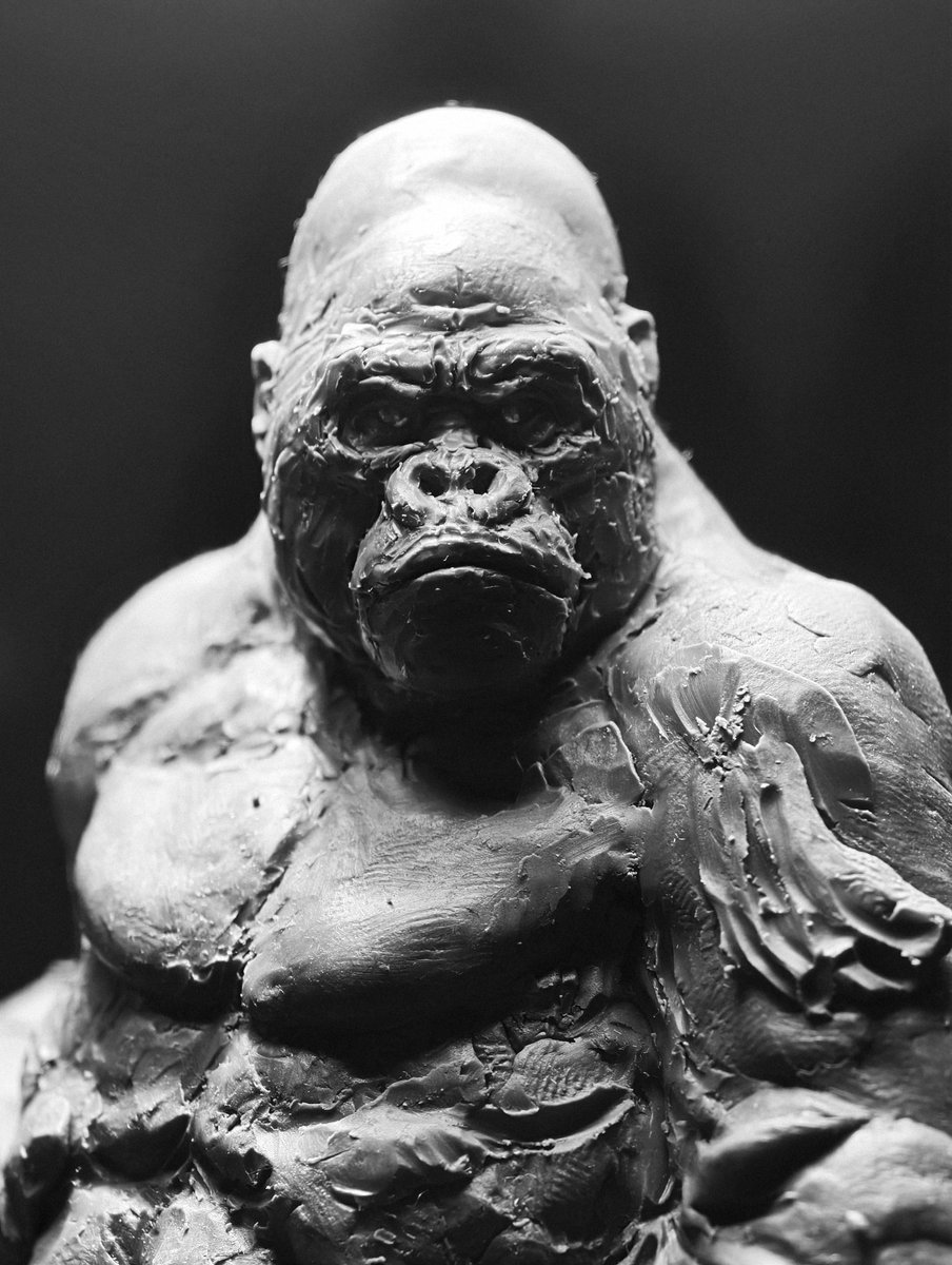 TZU CHI LEE tweet media