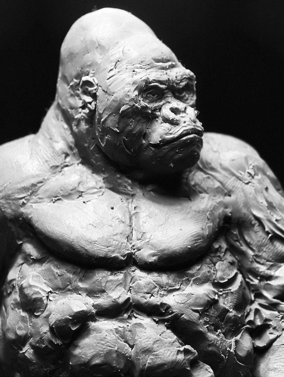 TZU CHI LEE tweet media