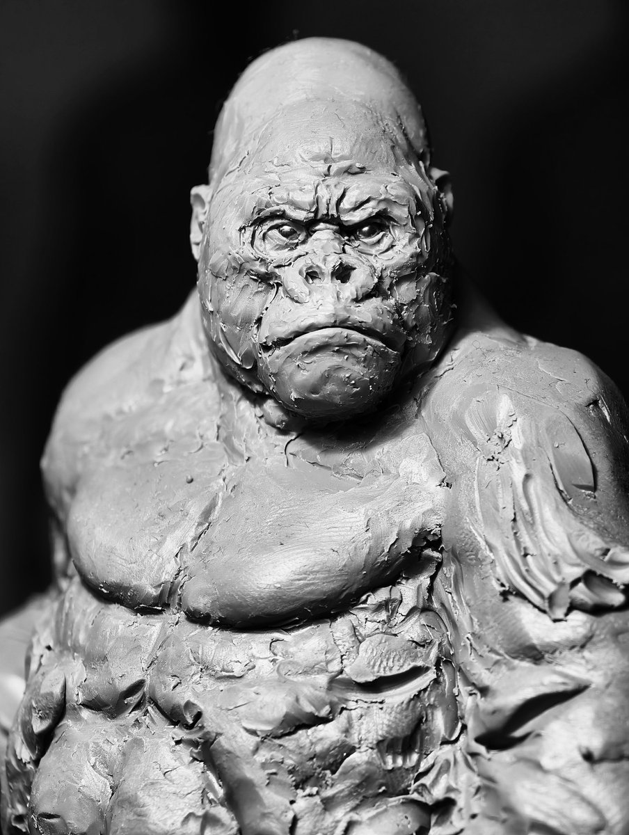 TZU CHI LEE tweet media