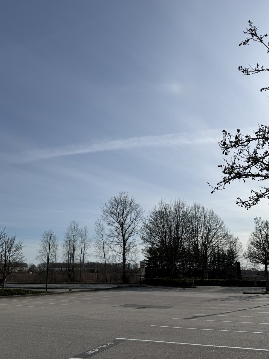 バンクーバー現地情報🇨🇦 tweet media