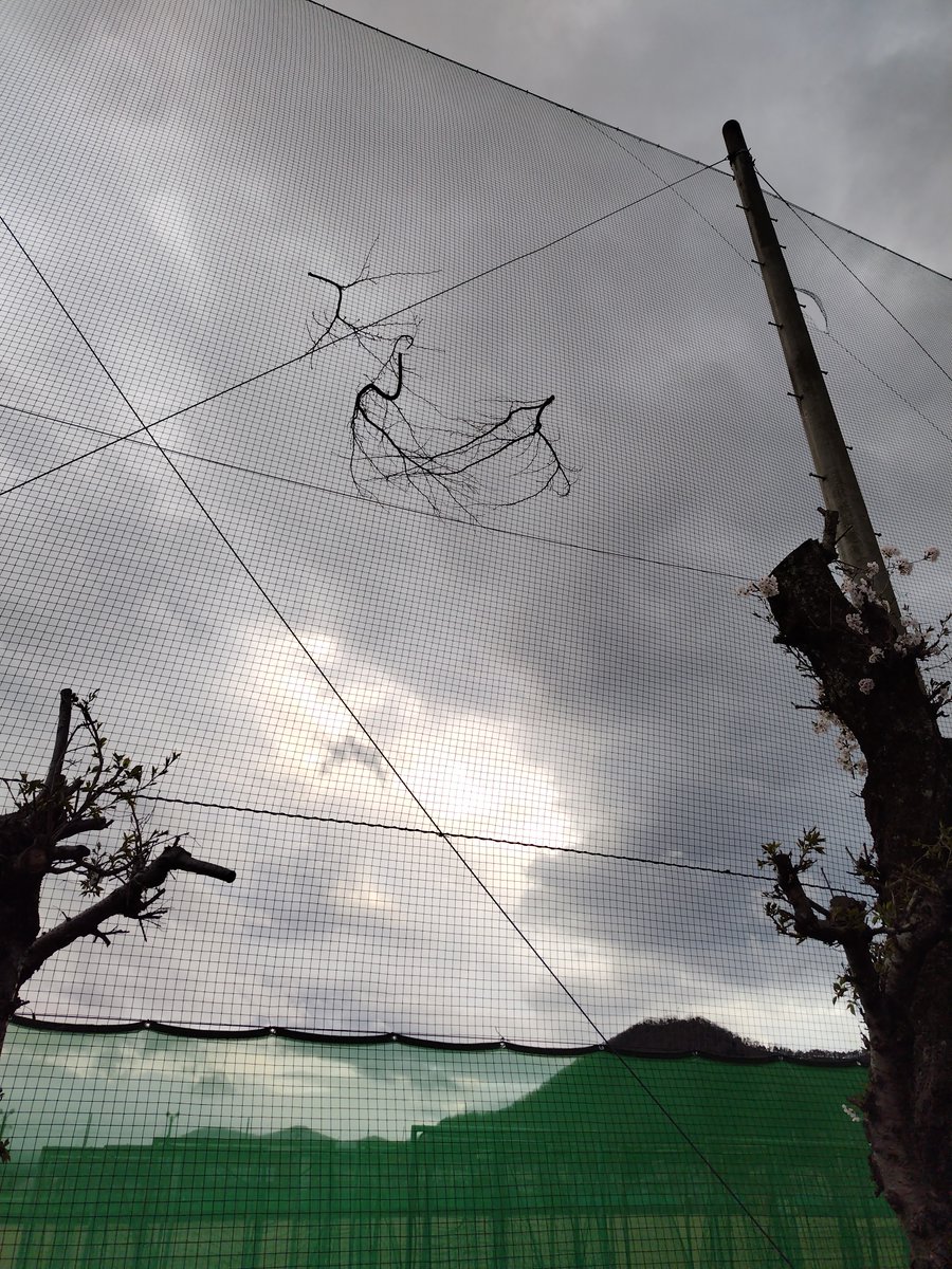 烈【FKI トルーパー 烈】福井県 防災士 リアルライフヒーロー tweet media